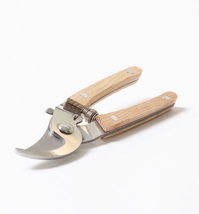 Beskjæringssaks Beskjæringssaks